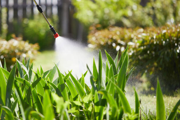 Tamper-Resistant Bait Stations for Rodents in DeKalb
