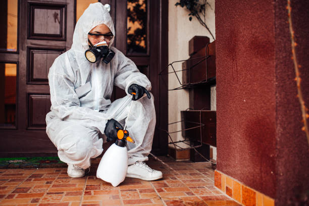 Attic and Crawl Space Rodent Treatment in DeKalb
