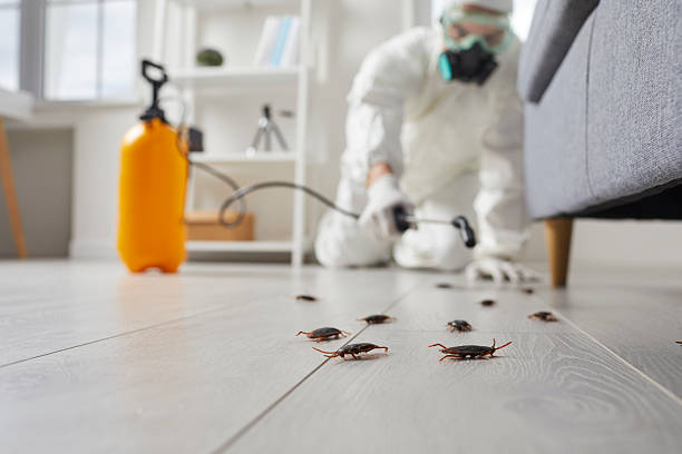 Commercial Rodent Management in DeKalb